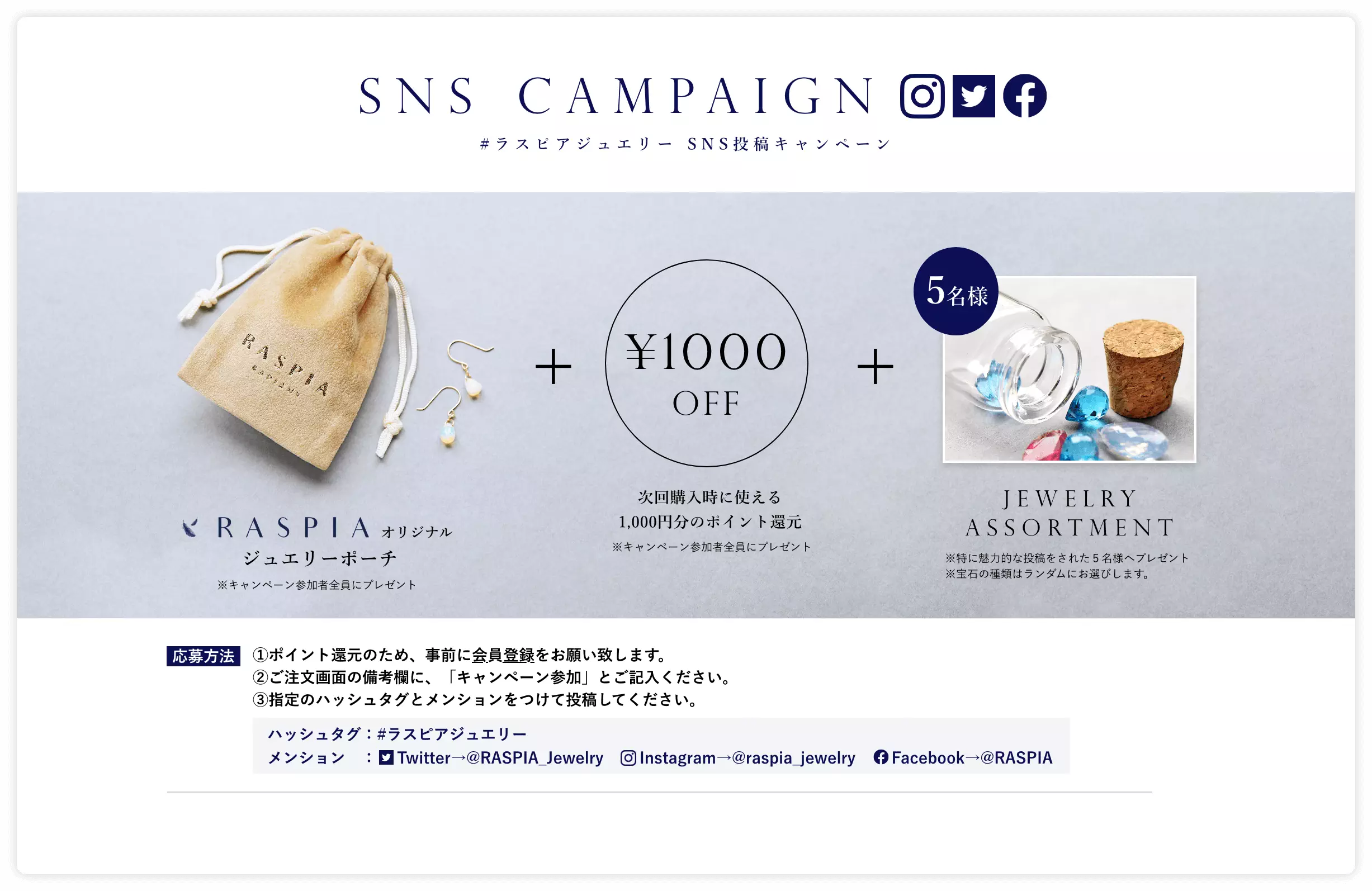 SNS CAMPAIGN